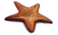 звезда морская